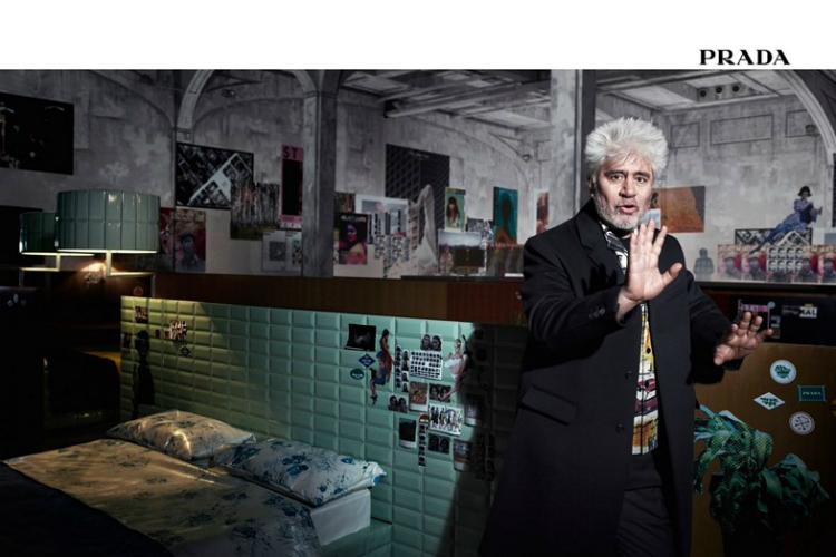 almodovar_prada_01.jpg