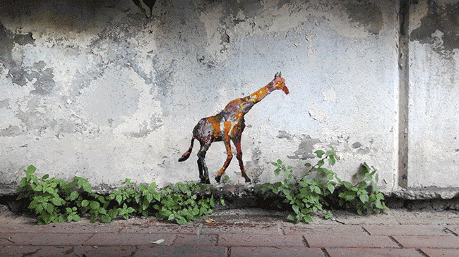 Kaybid-project-ongoing-for-over-two-years-nearly-400-individual-unique-collages-created-from-30-different-species-created-and-applied-to-the-streets-5efee6365a949__700.gif
