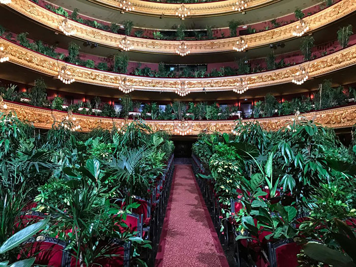 barcelona-opera-house-reopens-plays-to-plants-47.jpg