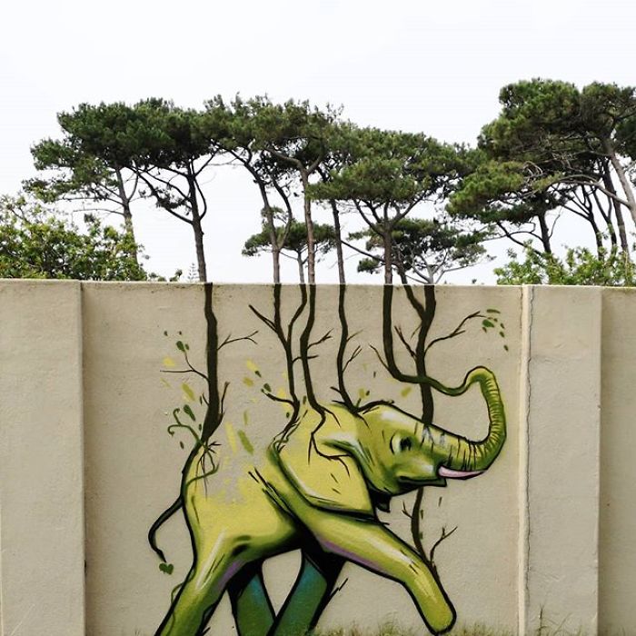 street-art-graffiti-falko-fantastic-south-africa-5f1a86437b18f__700.jpg