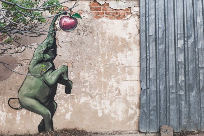 street-art-graffiti-falko-fantastic-south-africa-5f1a8e57a9d79__700.jpg