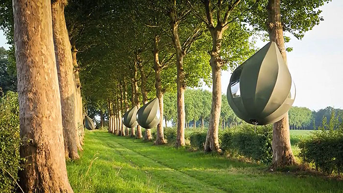 tent-tree-teardrop-camping-belgium-5f2157abede15__700.jpg