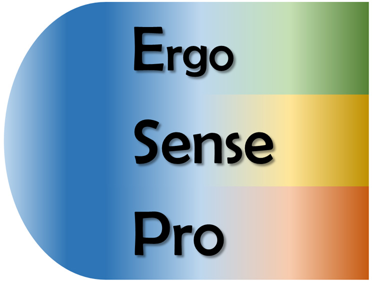 ErgoSensePro2.jpg