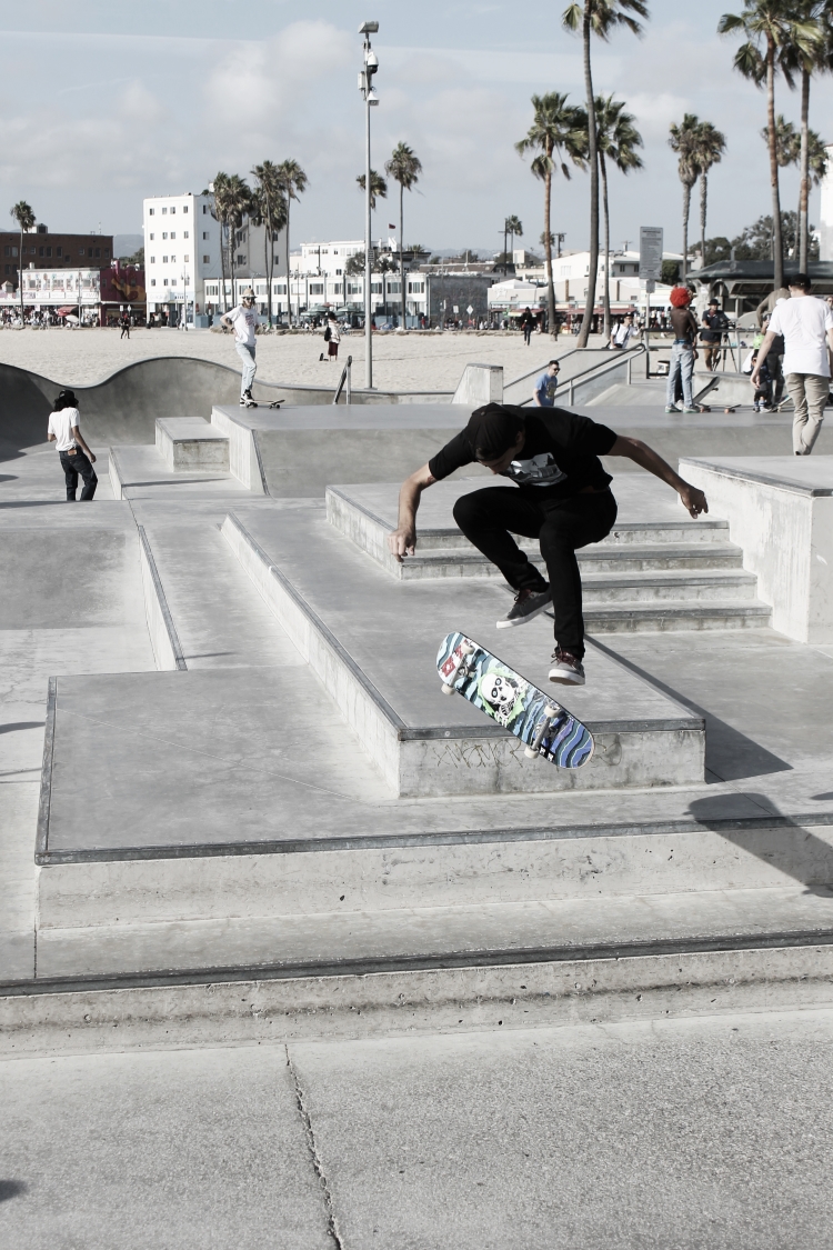 platform-skate-zogaris3.jpg