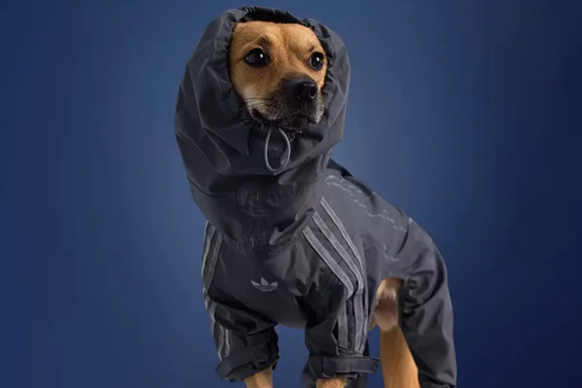 ADIDAS FALL 2025