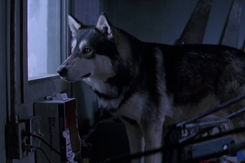 THE THING