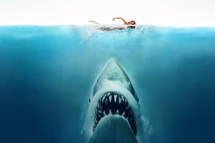 Intro Image