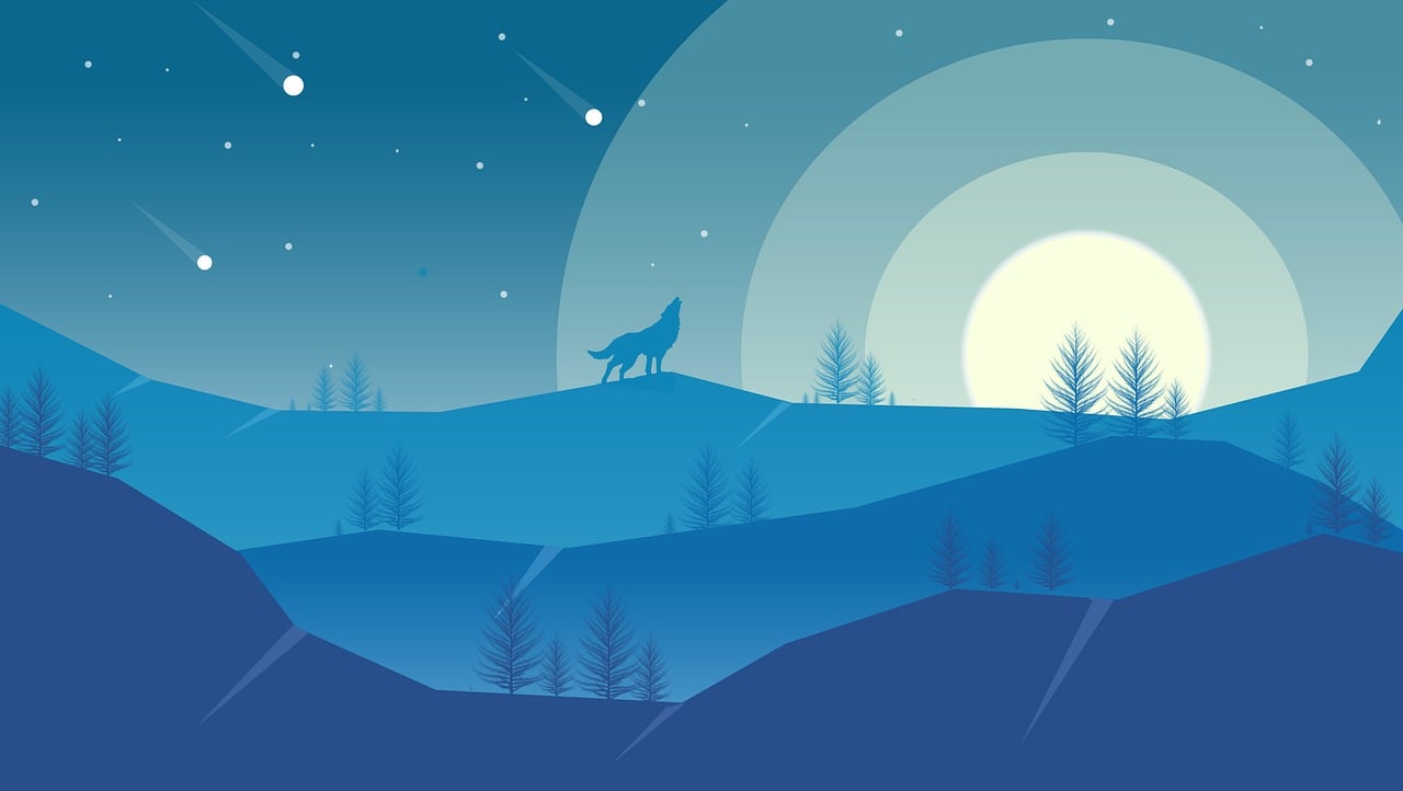 Intro Image