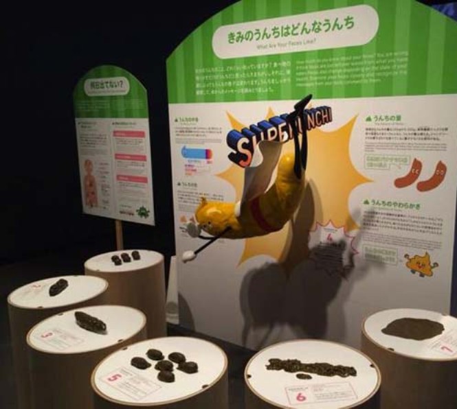 poop-museum10.jpg